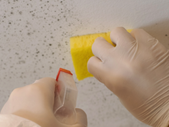 7 Essential Steps for Safe and Effective Mold Remediation