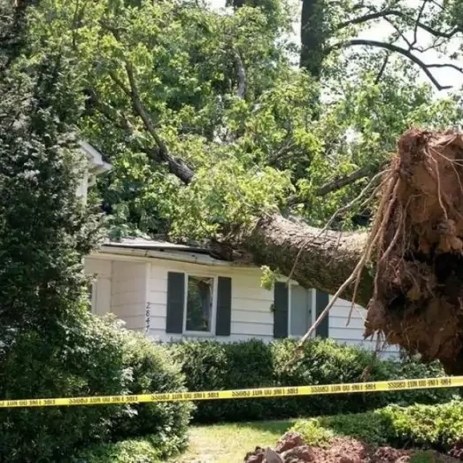 Storm & Wind Damage Repair Services in North Fulton, GA